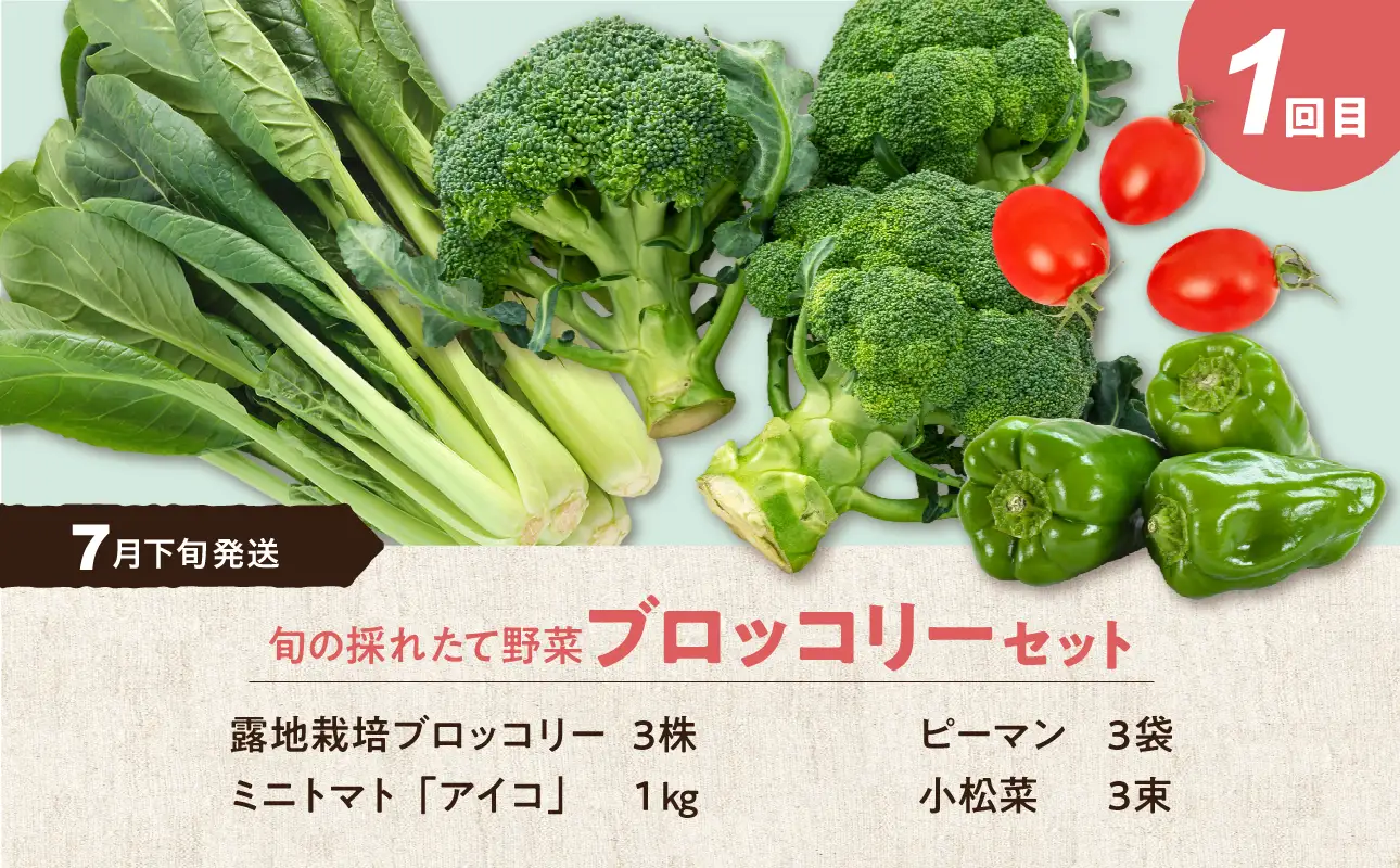 【2回定期便】旬の採れたて野菜「贅沢セットB」