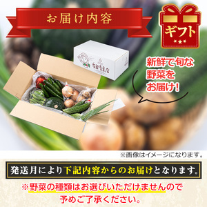 野菜 おまかせ便 (10品) 野菜 セット 詰め合わせ 詰合せ 旬 お野菜 有留青果  0123608a