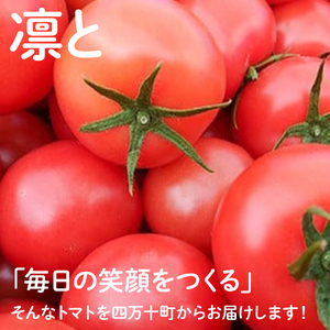 受付4か月で800件超え！四万十産トマト 「凛と」(4kg) ／ Fbg-A003 野菜 新鮮 完熟トマト