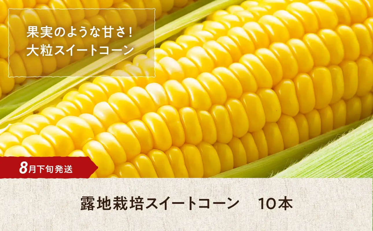 【8月下旬発送】旬の採れたて野菜「スイートコーン」