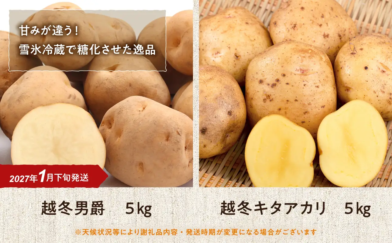 【1月下旬発送】旬のお野菜「越冬ジャガイモセットA」（男爵・キタアカリ 計10kg）