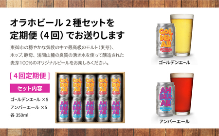 ゴールデンエール＆アンバーエール 10本定期便（4回） クラフトビール　ビール定期便
