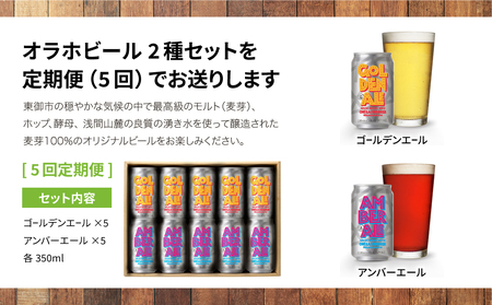 ゴールデンエール＆アンバーエール 10本定期便（5回） クラフトビール