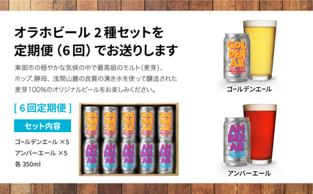 ゴールデンエール＆アンバーエール 10本定期便（6回） クラフトビール