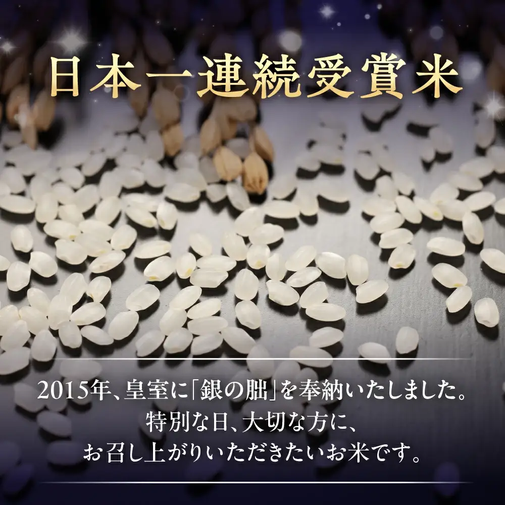 新米予約受付【定期便】【2026年11月から】5kg×6回【2026年産米】銀の朏≪テレビで紹介!!幻の米≫【13-19】