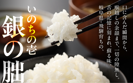 新米予約受付【定期便】【2026年11月から】2kg×12回【2026年産米】銀の朏 米 ≪テレビで紹介!!幻の米≫【13-20】