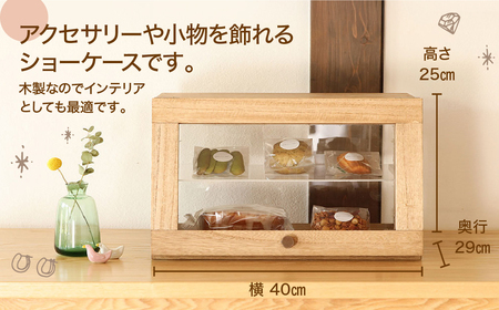 ショーケース（高さ25㎝ 幅40㎝ 奥行29㎝）小物入れ 棚 収納 インテリア【62-19】