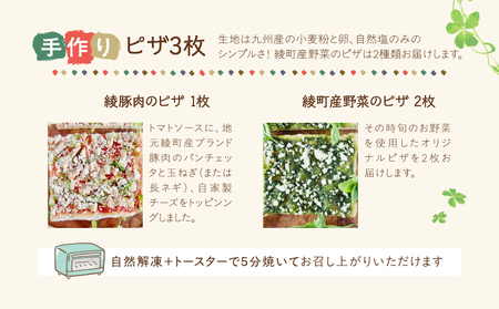綾豚 綾野菜 天然 酵母 ピザ スープ セット 贈答 ギフト_0021-048