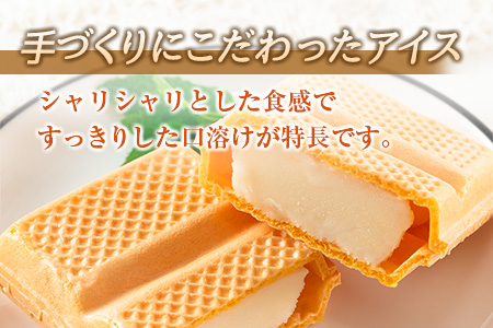 手作り アイス モナカ セット 計16個 食品 加工品 スイーツ お菓子 最中 なかつや 昔ながら ハンドメイド 子供 乳製品 こだわり 氷菓 懐かしい 国産 おやつ デザート ギフト プレゼント 贈り物 お取り寄せ グルメ おすそ分け 宮崎県 日南市 送料無料_BA67-23