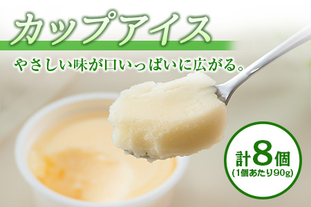 手作り アイス カップ ＆ モナカ セット 合計20個 スイーツ お菓子 食品 加工品 最中 なかつや 国産 おやつ デザート ご褒美 昔ながら 手作り 子供 乳製品 氷菓 詰め合わせ 食べ比べ お取り寄せ グルメ おすそ分け おすすめ 懐かしい 宮崎県 日南市 送料無料_CA34-23
