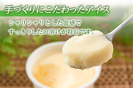 手作り アイス カップ セット 計16個 スイーツ デザート おやつ 国産 食品 加工品 お菓子 氷菓 なかつや 昔ながら 懐かしの味 ご褒美 お祝い 記念日 ギフト 贈り物 プレゼント お取り寄せ グルメ おすすめ おすそ分け 詰め合わせ 宮崎県 日南市 送料無料_CA35-23