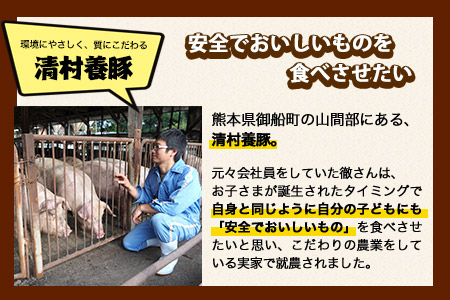 まうごつうまかとんかつセット 1kg 清村養豚《60日以内に出荷予定(土日祝除く)》 ロース ヒレ 肩ロース とんかつ かつ丼 みそかつ 熊本県 御船町