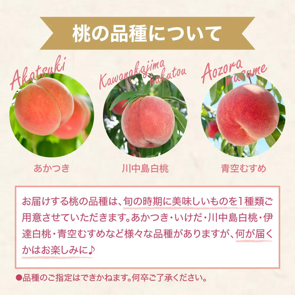 【2026年産 先行予約】 白桃 (品種おまかせ) 2kg 秀品 化粧箱入り 東根農産センター提供 山形県 東根市 hi027-257 （東北 果物 フルーツ くだもの もも 桃 白桃 ピーチ 品種おまかせ 箱入り 期間限定 冷蔵配送 先行受付 令和8年産 取り寄せ グルメ ご当地 特産直送 送料無料 ふるさと納税）