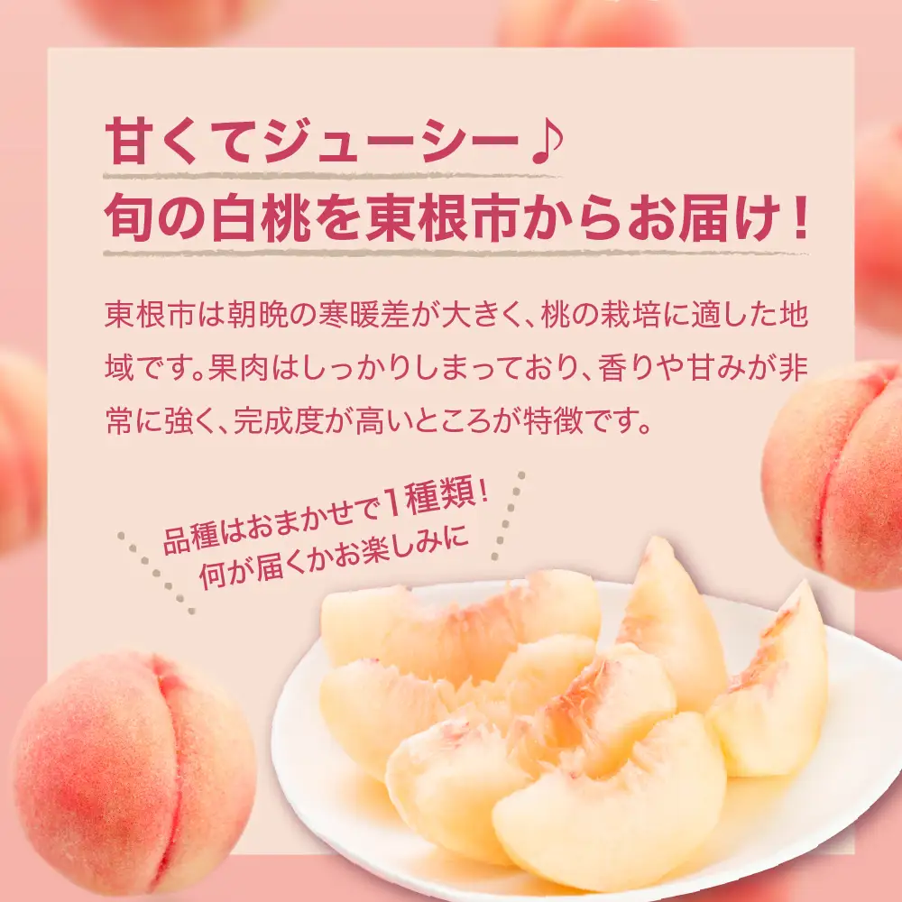 【2026年産先行予約】白桃(品種おまかせ)5kg 秀品 桃 白桃