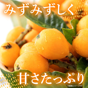 【期間限定】田ノ浦びわ 約2.16kg（270g×8パック） C07013