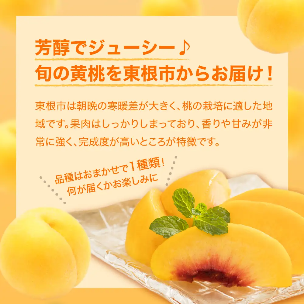 【2026年産先行予約】黄桃(品種おまかせ)3kg 秀品 桃 黄桃