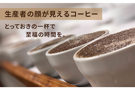 中煎り コーヒー 豆 250g × 2袋 （ 豆 ・ 粉 選べます ） エルポルベニール農園 パカマラ種 ナチュラル 《糸島》 【COFFEE UNIDOS】 [AQF004]