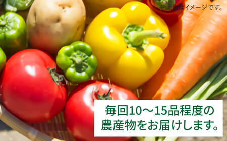 【 全6回 定期便 】 福岡県 糸島産 旬 の 野菜 盛り合わせ セット 《糸島》【株式会社フロンティア・アドバンス】 [AWC008]