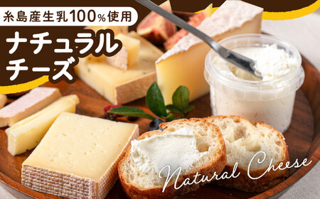 【お中元対象】糸島産 生乳 100％ 使用 手作り チーズ 4種 TAKセレクト【ベーシック】 糸島市 / 糸島ナチュラルチーズ製造所TAK-タック- [AYC007]