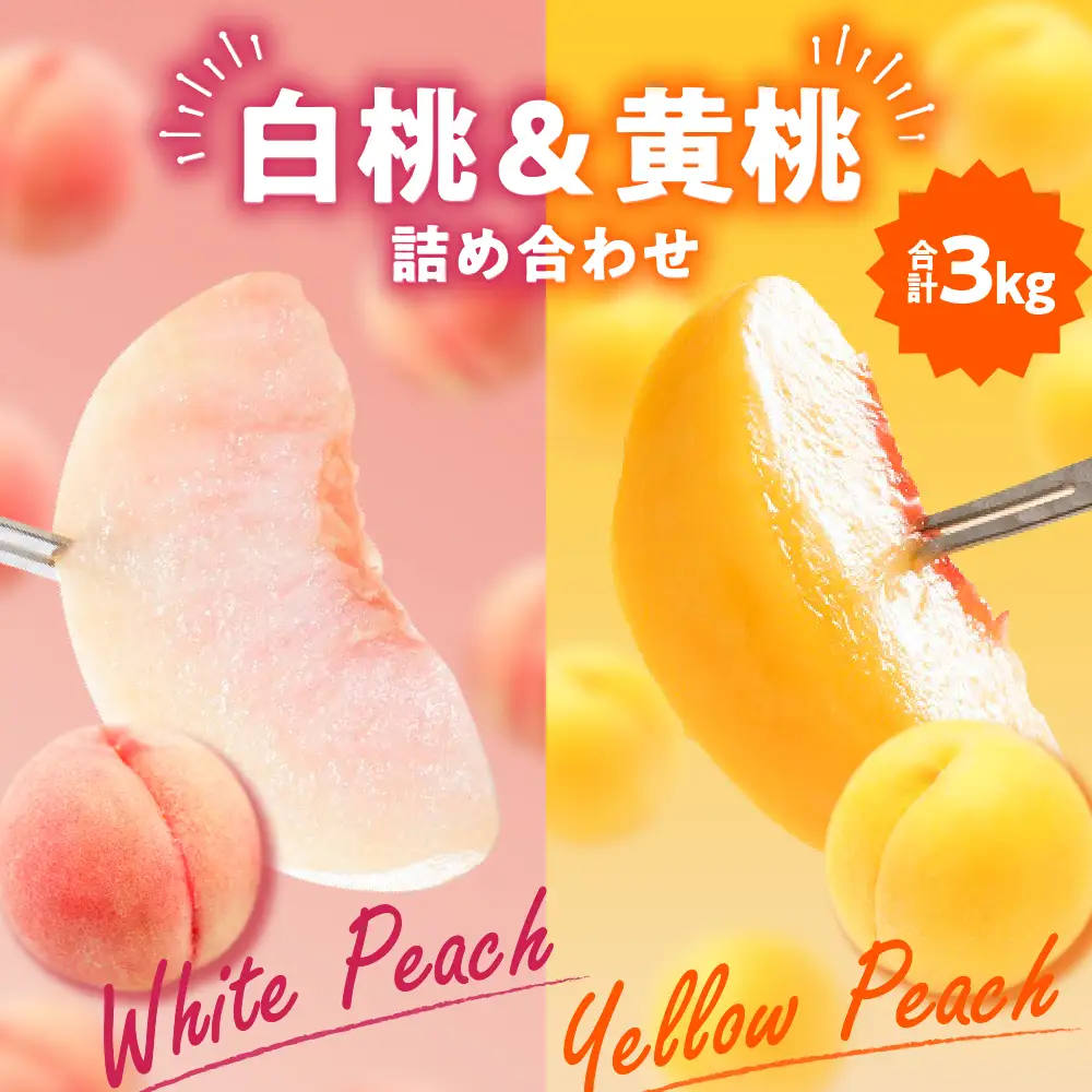 【2026年産 先行予約】 白桃＆黄桃 詰め合わせ (品種おまかせ) 3kg 秀品 化粧箱入り 東根農産センター提供 山形県 東根市 hi027-264 （東北 果物 フルーツ くだもの もも 桃 白桃 黄桃 セット ピーチ 品種おまかせ 箱入り 期間限定 冷蔵配送 先行受付 令和8年産 取り寄せ グルメ ご当地 特産直送 送料無料 ふるさと納税）