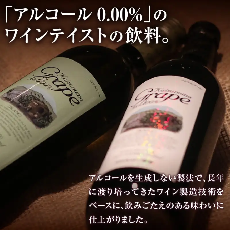 ワイン 【ノンアルコールワイン】カツヌマグレープ赤2本セット B-714 （KBO）