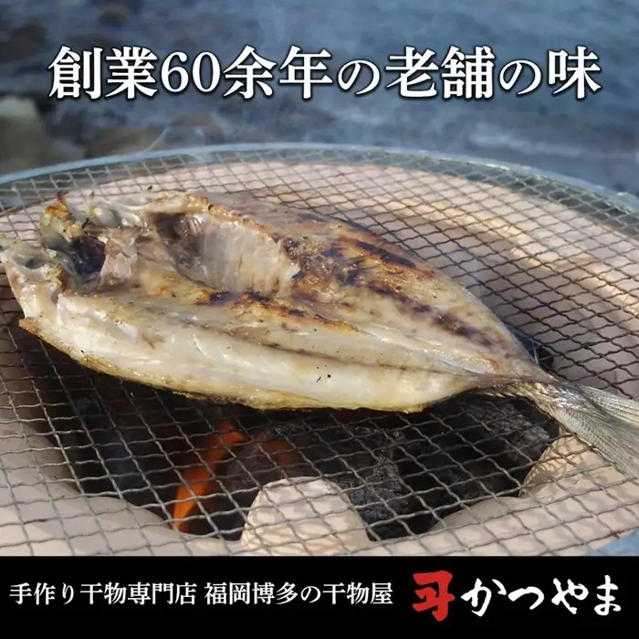 博多志賀島 干物かつやま定番干物詰合せ 福岡県 福岡市 福岡 九州 納税 返礼品 返礼 お取り寄せグルメ 取り寄せ グルメ お取り寄せ 博多 干物 ひもの 魚介類 魚介 海の幸 詰め合わせセット 詰め合わせ セット おつまみ つまみ