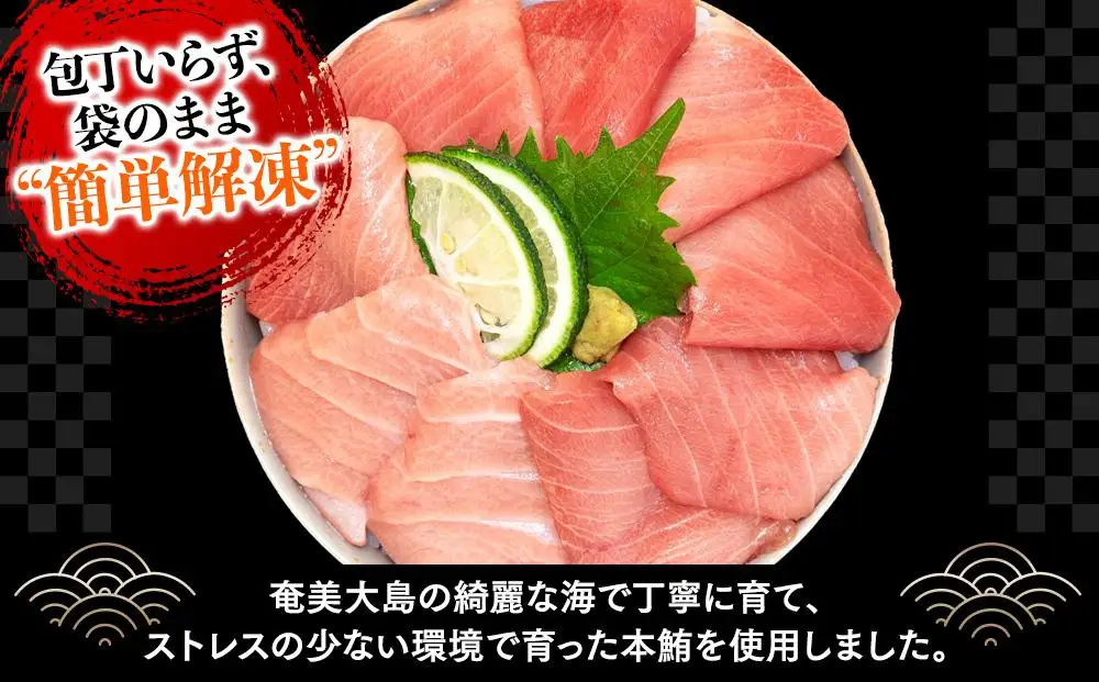福岡市グルメ糸島海鮮堂のクロマグロ丼3食セット | 福岡県 福岡市 福岡 九州 返礼品 お取り寄せグルメ 取り寄せ グルメ 食品 お取り寄せ 魚介類 魚介 海産物 海の幸 まぐろ マグロ 鮪 海鮮 海鮮丼 水産 特産品 ご当地