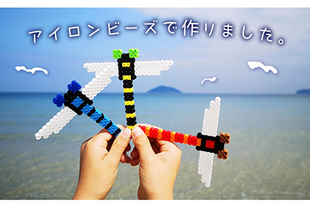 三号機 ： 大地 の 恵み 古代米 の レッド アキアカネ《糸島》【糸島とんぼ】 [APK004]