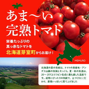 【先行受付】【2026年8月上旬より発送】なまら十勝野の 旬 の 完熟 トマト を3~4品種 詰め合わせた 食べ比べ セット 野菜  北海道産 贈り物 お取り寄せ とまと カラートマト おまかせ アイコ ミックス もぎたて リコピン 新鮮 朝採れ 産地直送 北海道 十勝 芽室町me001-013c