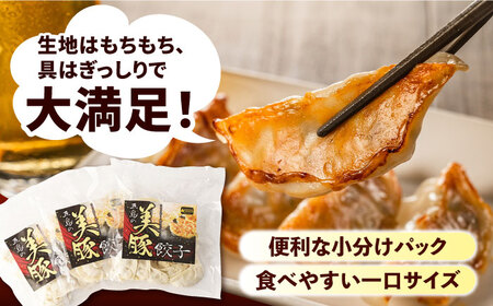 【6回定期便】美豚餃子150個（15個×10袋） 五島市/長崎フードサービス[PEL023]  冷凍 餃子 中華 ぎょうざ ギョウザ