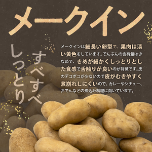 【2026年9月下旬より配送予定】北海道十勝芽室町じゃがいも メークイン 5kg 芋 ジャガイモ 産地直送 数量限定 ポテト 芋 お芋 イモ いも 新鮮 カレー シチュー グラタン おでん チーズ じゃがバター 焼肉 美味しさに 訳あり me002-002-26c
