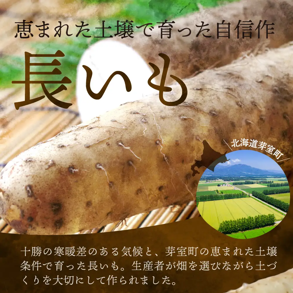 【先行受付】【2026年11月より配送予定】北海道十勝芽室町 長いも 約5kg 長芋 長いも とろろ 芋 送料無料 お取り寄せ me002-015c