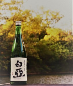 【令和8年新酒】中部大学のお酒「白亞」（日本酒）1本