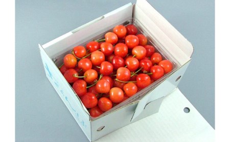 《先行予約 2026年度発送》さくらんぼ【紅秀峰】大玉バラ詰め 秀品 2L 500g FSY-0151