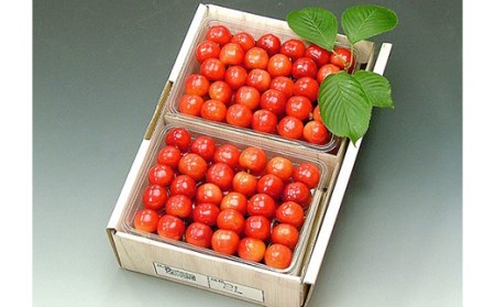 《先行予約 2026年度発送》さくらんぼ【佐藤錦】 秀品 2L 手詰め 1kg FSY-0152