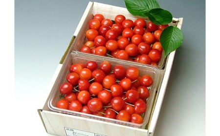 《先行予約 2026年度発送》さくらんぼ【佐藤錦】秀品 L バラ詰め 1kg FSY-0153