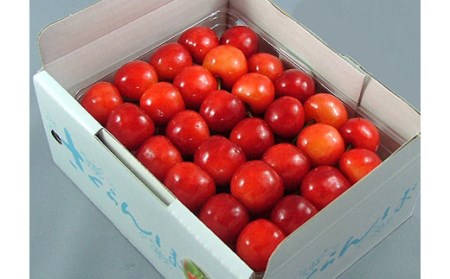 《先行予約 2026年度発送》さくらんぼ【佐藤錦】秀品 L 手詰め 500g FSY-0154