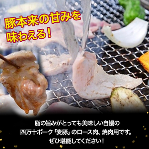 農林水産大臣賞受賞の「四万十ポーク」平野協同畜産の「麦豚」焼き肉用（豚ロース肉1.1kg） 国産 豚ロース スライス しゃぶしゃぶ 豚肉 お肉 冷蔵 ／Ahc-01