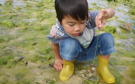 【環境省重要湿地】【屋嘉田潟原】昼の干潟の観察（3人）