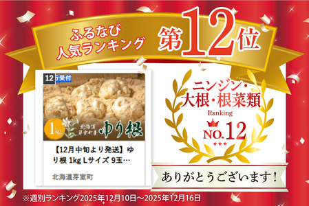 【先行予約】【2026年12月中旬より発送】北海道十勝芽室町 ゆりね 1kg（Lサイズ9玉入り1kg） me010-001c-26