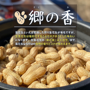【2026年出荷分】北海道十勝芽室町 生落花生 茹で用 郷の香 1kg ( 500g ×2袋 ) さとのか 大粒 落花生 らっかせい 生らっかせい 生 豆 ピーナッツ ナッツ おやつ おつまみ つまみ おかず 冷蔵 予約 先行受付 秋 旬 国産 北海道十勝芽室町 me028-003c-26