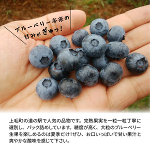 【叶え屋】 上毛町産 ブルーベリー 生果実 500g×2パック_K01401