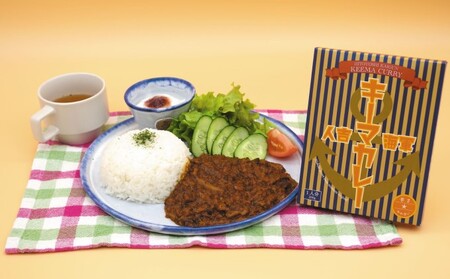 『ひみつ基地ミュージアム』人吉海軍 グルメセット（カレー 3食・ラムネ 3本） 加工食品 惣菜 レトルト 飲料類 炭酸飲料 