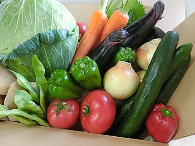 安芸 お野菜セット 野菜 野菜 野菜 野菜 野菜