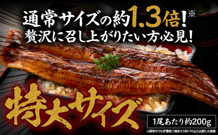 【 土用の丑の日特集 】 1745-1 うなぎ問屋 の 備長炭手焼 うなぎ蒲焼 特大 3尾 660g KN029-001-08 魚 冷凍 鰻