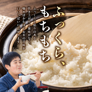 S061-009A_令和7年産 特別栽培米 天草五ッ星米 精米 5kg【先行受付】