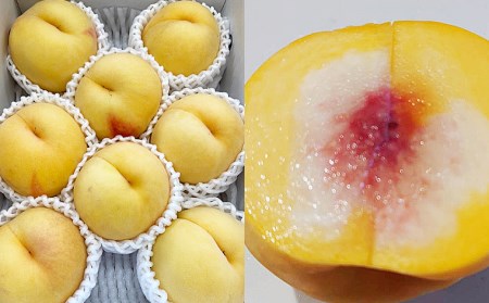  数量限定！マーブル桃「あかつき姫」(有袋・無袋) 秀品 約2kg [柔らかくなる桃]【令和8年産先行予約】FU22-209 くだもの 果物 フルーツ 山形 山形県 山形市 2026年産