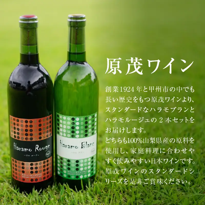 ワイン 原茂ワインのスタンダードワイン赤白２本セット（MG）B12-652