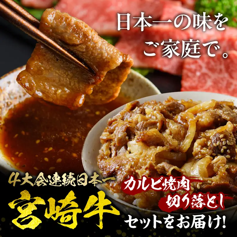 牛肉 カルビ焼肉 牛肉[宮崎牛 切り落とし セット 800g]