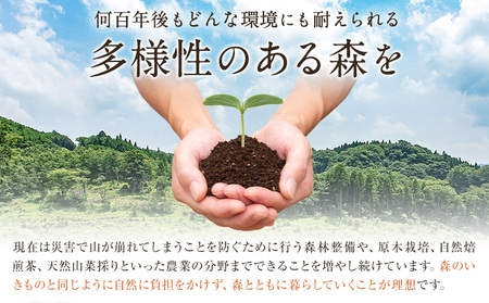 原木椎茸堪能セット 肉厚原木生椎茸 500g しいたけのデュクセル 2本 オリーブオイルマリネ 1本 合同会社 原田山業《90日以内に出荷予定(土日祝除く)》熊本県 菊池市 椎茸 しいたけ きのこ 肉厚 デュクセル オリーブオイル マリネ 瓶詰め セット 詰め合わせ